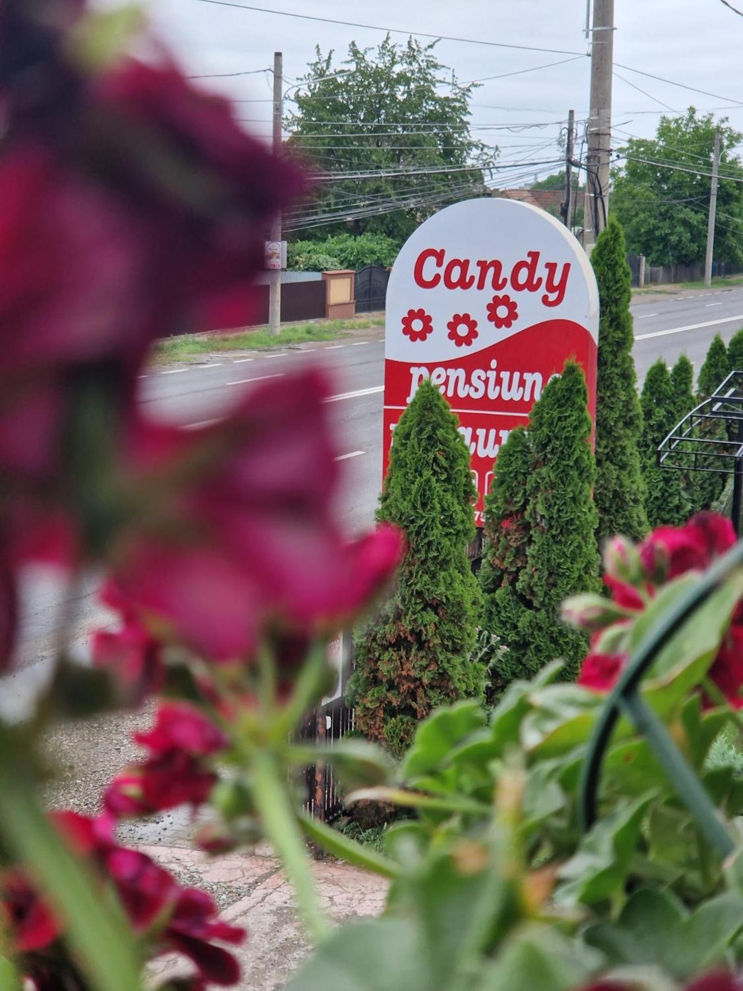 Candy Pensiune&Restaurant Dumbrava Roşie Exteriör bild